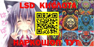 гашик Кулебаки