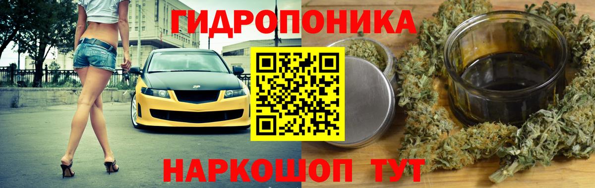 МАРИХУАНА Ganja  Вход с VPN  Бошки марихуана план  Марихуана планчик  Советский 